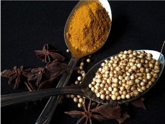 Stage 01 Ingredient Botanicals and Spices on Spoons
